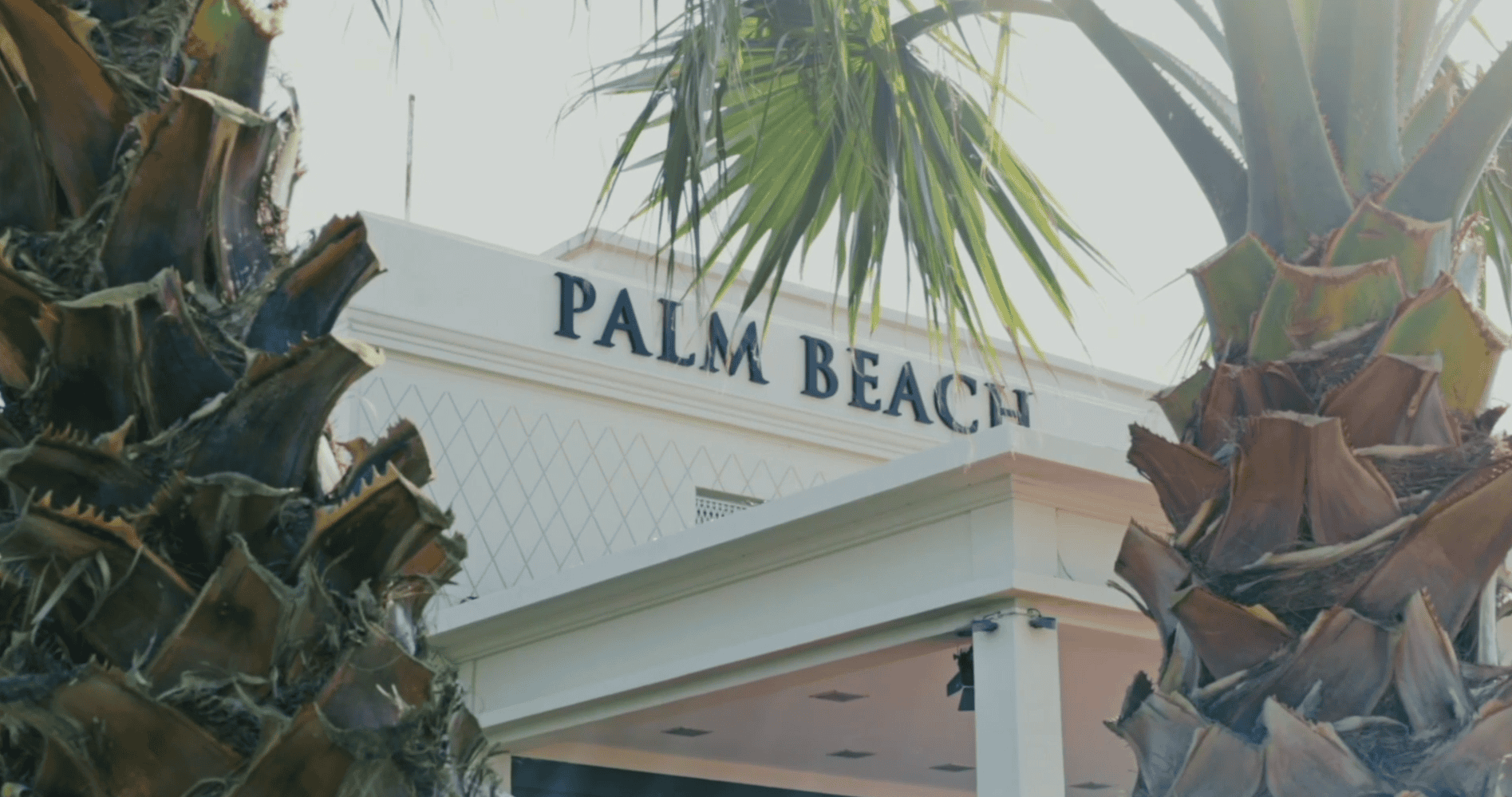 Palm beach building behind palms